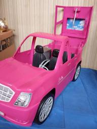 芭比 時尚達人系列 大捲髮 雀斑 娃娃 Barbie Fashionistas Doll #206 #210 歷史價格詳細信息