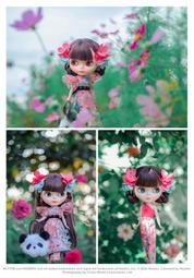 【CWC】小米 Mi PAD Apple Ipad Mini 2 3 弧邊 9H 鋼化玻璃保護貼 靜電吸附強化玻璃 貼膜 歷史價格詳細信息