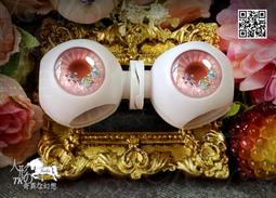 F1321 (簡)蛇傷治療學 舒普榮等著 人民衛生出版 歷史價格詳細信息