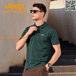 男士POLO衫 速乾透氣polo衫 排汗POLO衫 男款短袖polo 運動短袖T恤 網眼男生POLO衫 商務poloT恤-22號穿搭 歷史價格詳細信息