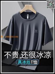 【惠惠市集】速干短袖t恤男士冰絲高端中年爸爸運動胖子半袖夏季寬松圓領體恤 歷史價格詳細信息