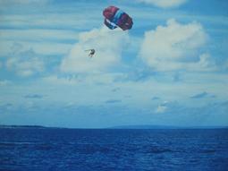 *{心花怒放館}*我最便宜現貨特價買五送一【60公分 *100公分芭比等1/6娃可用的背景布..星空類#D80】日內出貨 歷史價格詳細信息