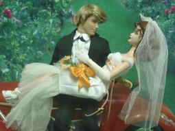 *{心花怒放館}*我最便宜現貨特價買五送一【60公分 *100公分芭比等1/6娃可用的背景布..星空類#D80】日內出貨 歷史價格詳細信息