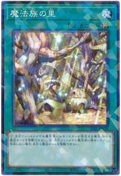 【CardMaster】遊戲王 SD39-JP023、DBIC-JP043、SSB1-JP036 魔法族之里 (普卡) 價格比較,價格查詢,歷史價格詳細信息
