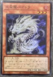 JP6016#2021年秋季新款高腰棉純色長褲彈力面料微彈情侶休閒褲男 歷史價格詳細信息