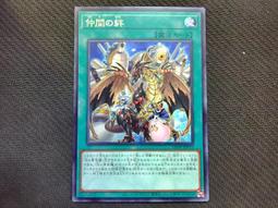 LEDEX 羽毛球拍袋(4支裝)  台灣製造 歷史價格詳細信息