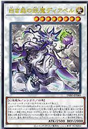 【妖精森林的小不點】DVD彩色光盤 歷史價格詳細信息