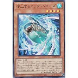 鯊口餘生 Get Bit 附繁體中文版 高雄龐奇桌遊 歷史價格詳細信息