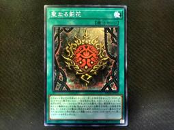 JA053 八十三年83年 甲戌狗年生肖套幣 盒附說明書~無收據 歷史價格詳細信息