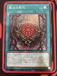 [紅紅卡舖]寶可夢 波加曼衣服 連帽衣服含褲子 (M) 歷史價格詳細信息