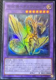 【伯明罕】ROTA-JP029 新手蜜蜂! (隱普) 歷史價格詳細信息