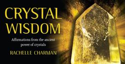 Wisdom 專櫃 全新 灰色 立領 鋪棉 背心 歷史價格詳細信息