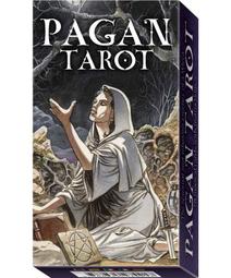 異教徒塔羅套組｜ Pagan Tarot Kit 聖甲蟲牌卡，搭配象徵主義完美詮釋現代巫術【左西購物網】 歷史價格詳細信息