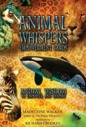 力量動物卡：你的靈性生活指南｜Power Animals 找到自己的內在力量，更能加強自己所擁有的潛力【左西購物網】 歷史價格詳細信息