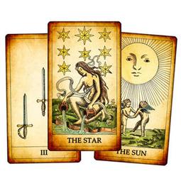 現貨★塔羅事典☆孟小靖的塔羅博物館《熊貓之道塔羅牌 Way of the Panda Tarot》自然動物可愛療癒貓熊 歷史價格詳細信息