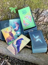 【靖】☆二手大出清★➠小騎士"印地安小公仔"➠或加賴:o0973789155回覆更快 歷史價格詳細信息