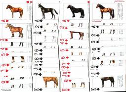 精美收藏＊★＊ 世博系列紀念章---2010年---世博  大熊貓  紀念章套裝--共 10 枚--帶精美冊子---十分少見---＊★＊ 歷史價格詳細信息