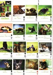 增值收藏-★★-大陸精美撲克牌----------世界知識(三)---各國詳細介紹---------★★-盒裝式 歷史價格詳細信息