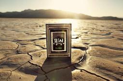 (新品上市-特價????️台北現貨) 戈雅 白色微笑瓶 小燈泡 晶石貓眼 甲油膠 貓眼組合套裝 美甲專業【雅妤精選】 歷史價格詳細信息