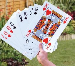 倍加福樣本_pf樣本_rhi90n系列編碼器，需詢價 歷史價格詳細信息