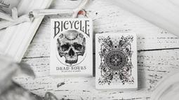 Dead Souls 死靈魂/Nikolai Gogol【禮筑外文書店】[9折] 歷史價格詳細信息