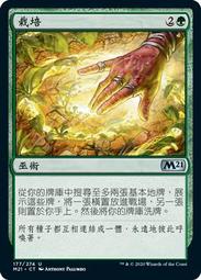 【Lizz小舖】 風華之魂 Soul of Windgrace 多明納里亞：眾志成城 DMU MR 319 展示牌 歷史價格詳細信息