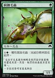 蟲蝕：窗下的玉蘭已經落盡，卻在枝椏間生出暗綠葉子【金石堂】 歷史價格詳細信息