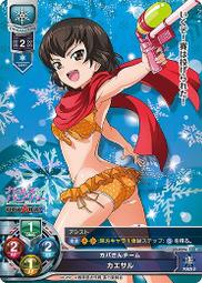 C凱旋門老花卡包 歷史價格詳細信息