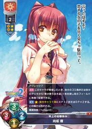 5164b 日本進口 限量品 好品質 可愛柔軟 澳洲 無尾熊 小熊熊動物 絨毛娃娃布偶毛絨絨玩偶抱枕收藏品擺飾禮物 歷史價格詳細信息