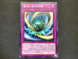 LEDEX 羽毛球拍袋(4支裝)  台灣製造 歷史價格詳細信息