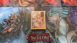 (特價)刀劍神域 Progressive 002 限定版 附：特製大浴巾+閃亮版書衣 歷史價格詳細信息