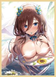 COMIC1☆17 725689 お姉ちゃんととろける気持ち 表+裏Ver. 特典付 Candy Club スカイ 訂購 歷史價格詳細信息