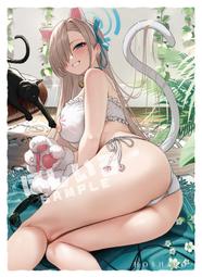 蔚藍檔案 一周年紀念 禮盒 套組 無掛軸 歷史價格詳細信息