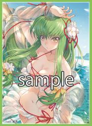 [現貨][水色代購][卡套] C104 ミッドナイトブルー 崩壞 星穹鐵道 流螢&amp;星 睡衣ver 歷史價格詳細信息