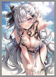 『牌塔』現貨 C102 同人會場限定 卡套 銀狼 崩壞 星穹鐵道 60張 92x67mm ミッドナイトブルー 歷史價格詳細信息