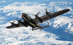 皇家之星-機能衣架(5入組) 歷史價格詳細信息