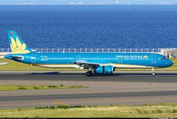 越南頸部頸椎腰部按摩器腰椎按摩儀加熱車載靠墊腰枕揉捏肩膀好康 歷史價格詳細信息