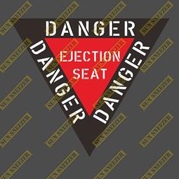 危險（黑暗派天后驚世駭俗之作．危險文豪欲望物語）(桐野夏生) 歷史價格詳細信息