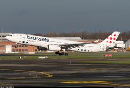 PHOENIX 畫布板(10片)3F 歷史價格詳細信息