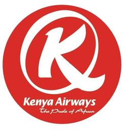 KENYU 消臭嘔吐袋 2SHP-100 歷史價格詳細信息