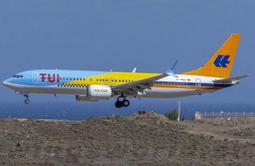 【Tui Balms】熱效舒緩肌肉精油蜂蠟膏100g 歷史價格詳細信息