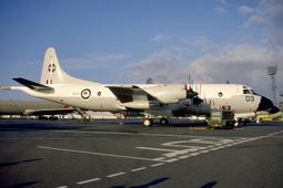 200 NEW Card Saver 1 Semi Rigid Holders Cardboard Gold PSA 200 BRAND NEW Holders 歷史價格詳細信息