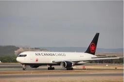 AIRCANADA 加拿大航空 ❤️亞麻直紋收納包/旅行出差便攜手拿包 歷史價格詳細信息