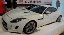 F-TYPE (14-21) 避光墊 麂皮 碳纖維 超纖皮 法蘭絨 大理石皮 Jaguar 捷豹 【A.F.C 一朵花】 歷史價格詳細信息
