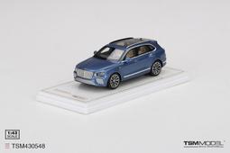 1/43 TSM Bentley Continental GT3 #7 Goodwood Festival【MGM】 歷史價格詳細信息