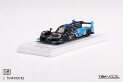 1/43 TSM Acura NSX GT3 #43 GT Class 2nd TSM430383【MGM】 歷史價格詳細信息