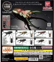 日版 07 08 硬幣人 彈珠超人 玩具 彈珠人 錢幣 銀幣 硬幣彈珠人 狙擊 金幣 TAKARA 正版 歷史價格詳細信息