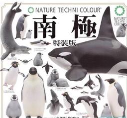 阿莎力 特斯拉 3 Tesla Model 3 1/32 1:32 合金車 迴力車 歷史價格詳細信息