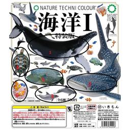 日版 海克力士 B-115 戰鬥陀螺 BURST 超Z世代 B115 神弓力士 .13.Et 【哈日酷】 歷史價格詳細信息