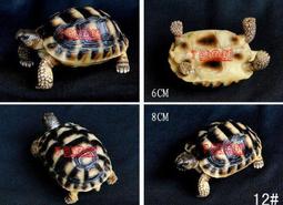 7號魚舖-獨家商品-仿真烏龜麵包造型吊飾(龜龜手腕墊.滑鼠墊.波羅麵包)軟軟-慢回彈-龜寶寶1隻賣場-缺貨中勿下單 歷史價格詳細信息